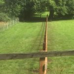 Wooden garden fencing dividing two gardens.