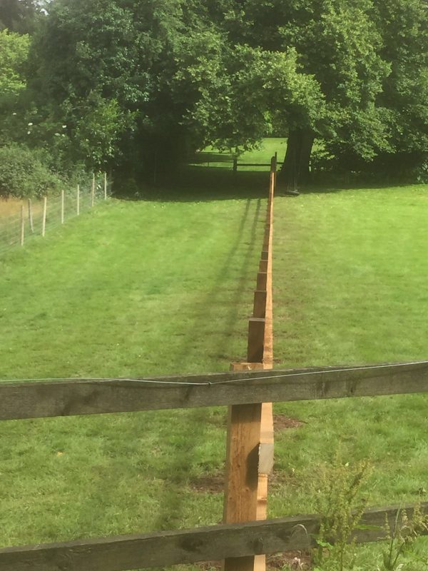 Wooden garden fencing dividing two gardens.