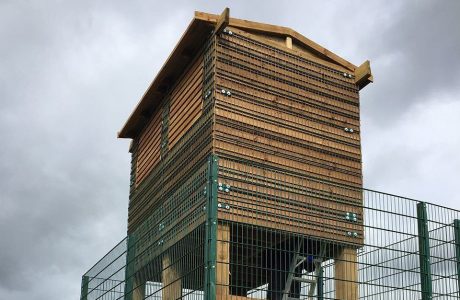 A fully structured commercial shed surrounded by a green steel commercial fence.