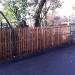 Wooden fencing at the edge of a forest like area.