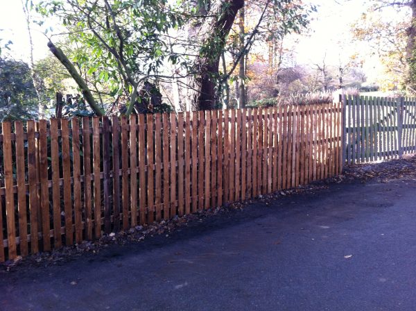 Wooden fencing at the edge of a forest like area.
