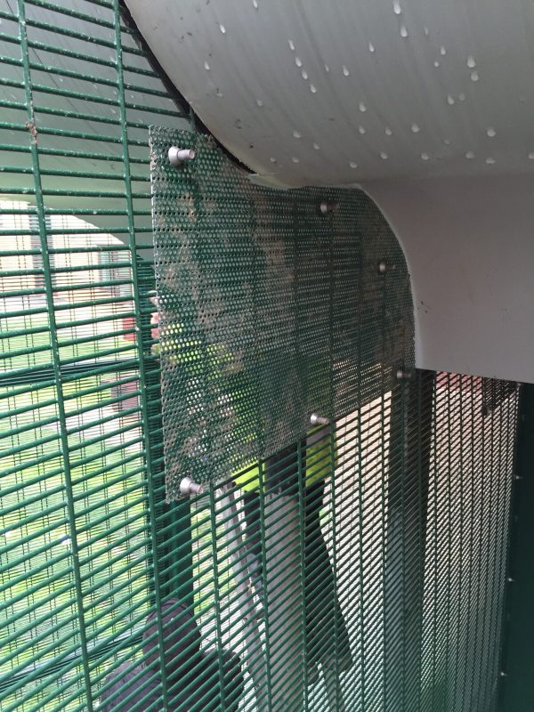 Green double mesh commercial fencing.