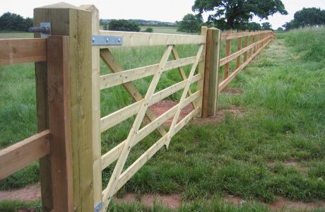 Five bar field gate alongside a wooden fence.