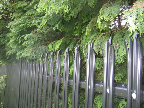 Black steel palisade fencing.