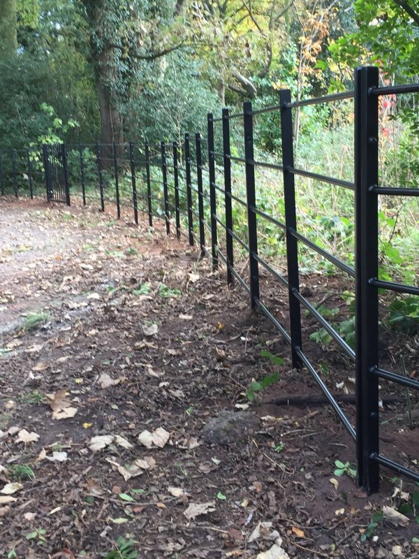 Black bespoke railings alongside a public walkway in a rural area.