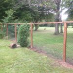 Green chain link fencing with wooden fence posts.