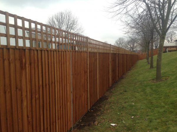 A large wooden fence in an open area. The fence has t type timber trellis fencing panels.