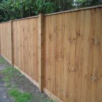 Pressure treated timber posts supporting timber fence panels. The fence is situated in a garden.