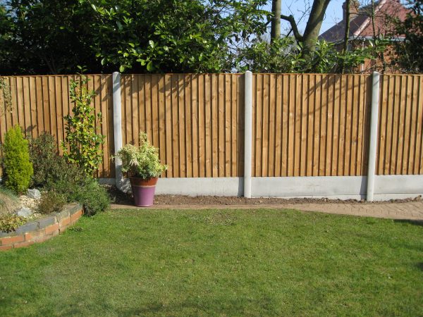 A garden with plants and flowers with a fence surrounding the perimeter. The fence has close board fence panels.