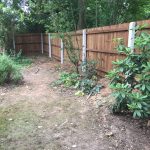 A garden with a wooden fence. The wooden fence has concrete fence posts.