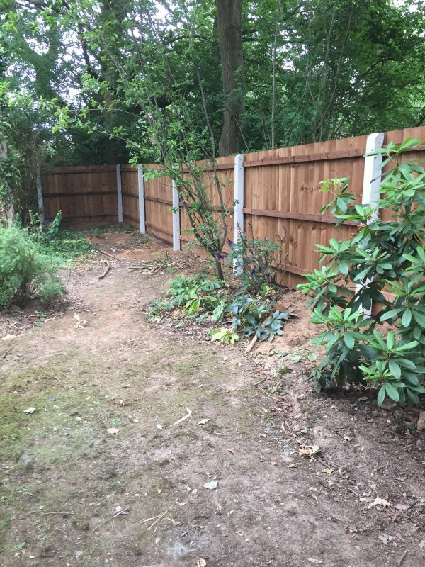 A garden with a wooden fence. The wooden fence has concrete fence posts.