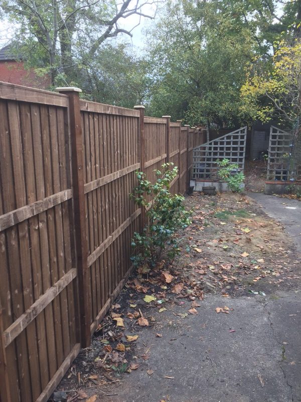 A garden fence with v type close board fence panels.