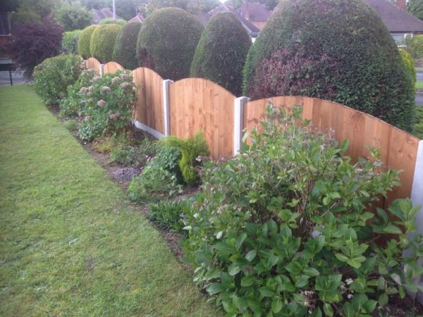 Concrete fence posts support a wooden fence. The fence panels have a rounded top.