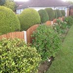 A house with a large garden. The garden is green and open with a wooden fence alongside.