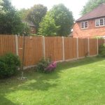 A open garden with a wooden fence. The fence has concrete posts and large plants in front.