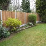 A large garden with green plants. There is a wooden fence surrounding the perimeter. The fence has close board fence panels.