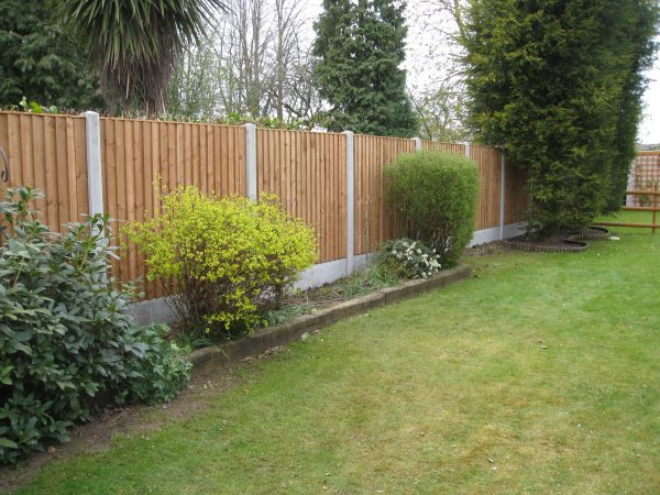 A large garden with green plants. There is a wooden fence surrounding the perimeter. The fence has close board fence panels.