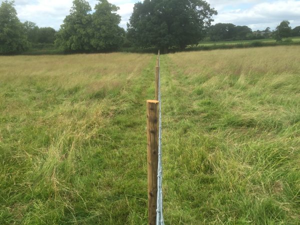 Post and wire fence stands in the middle of a field, it is used to house livestock or divide the area.