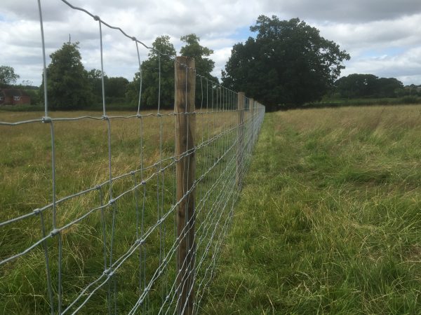 A long post and wire fence is used on a empty field to divide the open space.