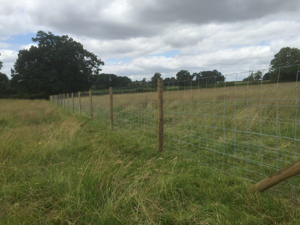 A post and wire fence divides a empty green field.