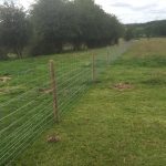 A long post and wire fence in divides a empty field. The field is green and open, possibly used to house livestock.