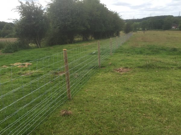 A long post and wire fence in divides a empty field. The field is green and open, possibly used to house livestock.